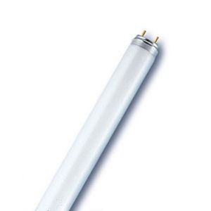 Ledvance Świetlówka liniowa - NL-T8 36W/865 FLH1 RDIUM (4008597191046)